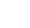 check icon